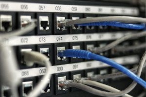 Photograph of network patch panel.